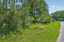 LAND - Milton, FL