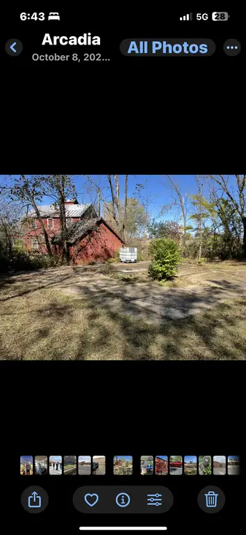 Picture 3