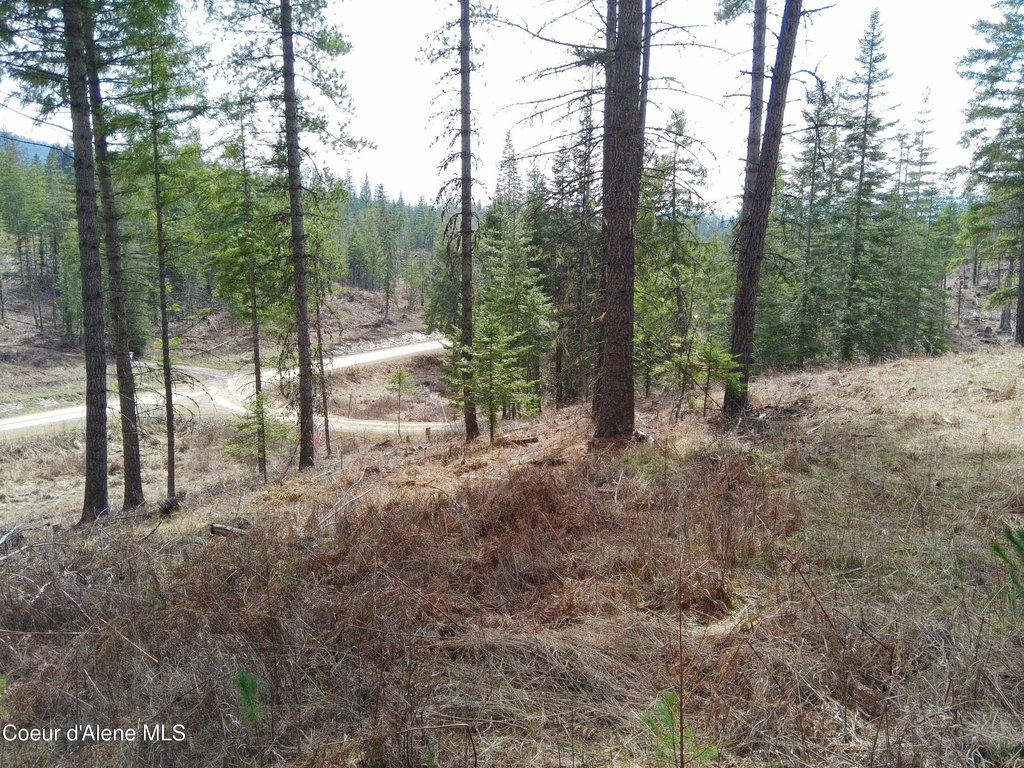 Picture 24