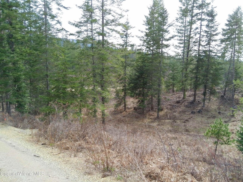 Picture 14