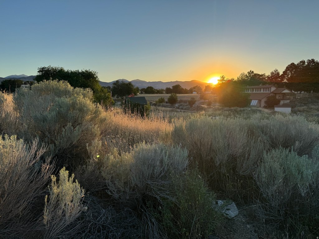 Picture 39