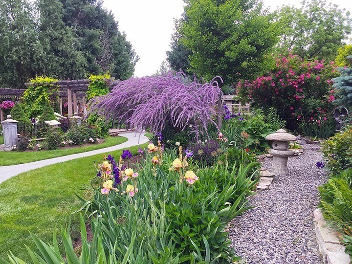 Picture 11