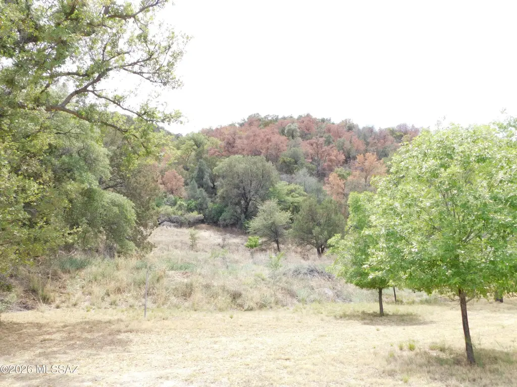Picture 14