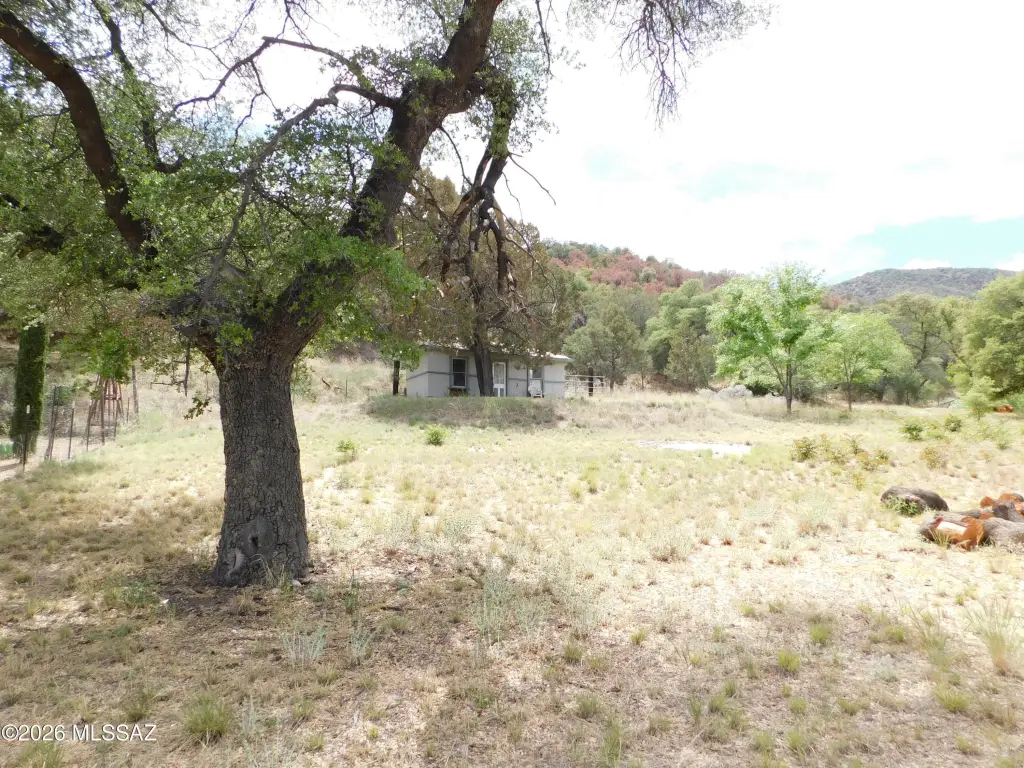 Picture 22