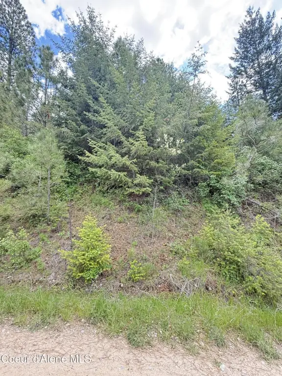 Picture 15