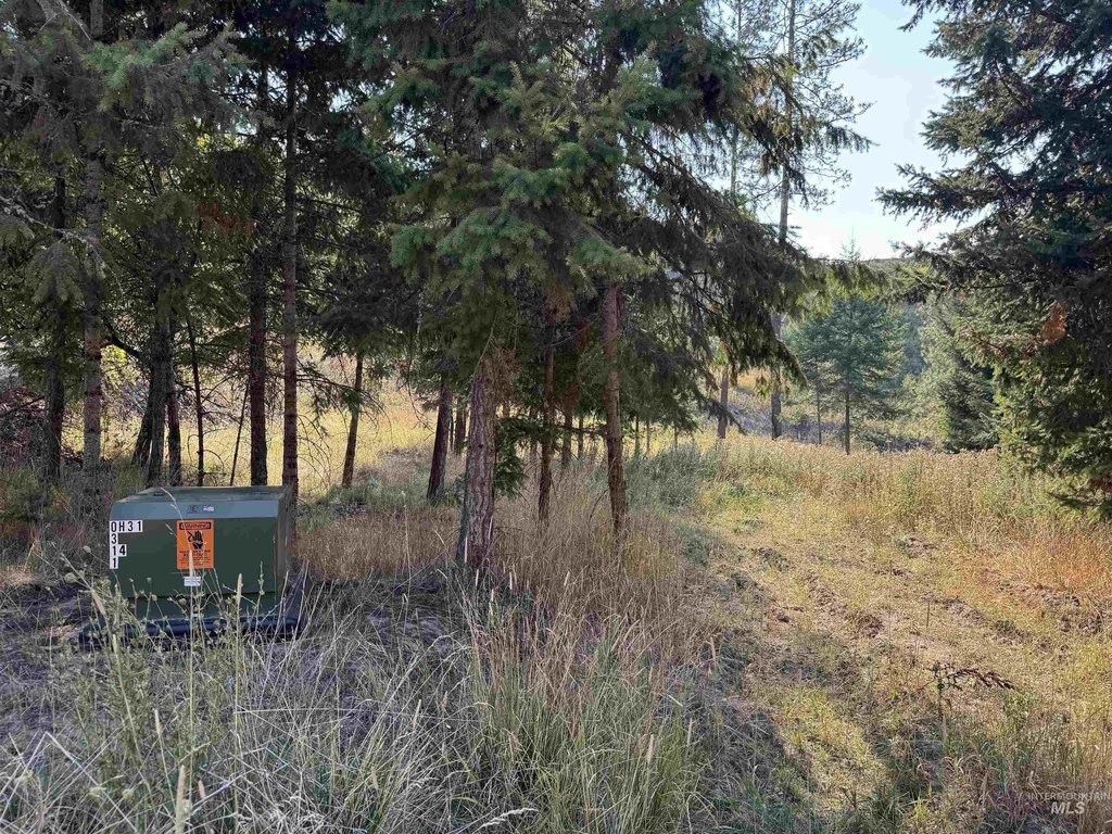 Picture 23