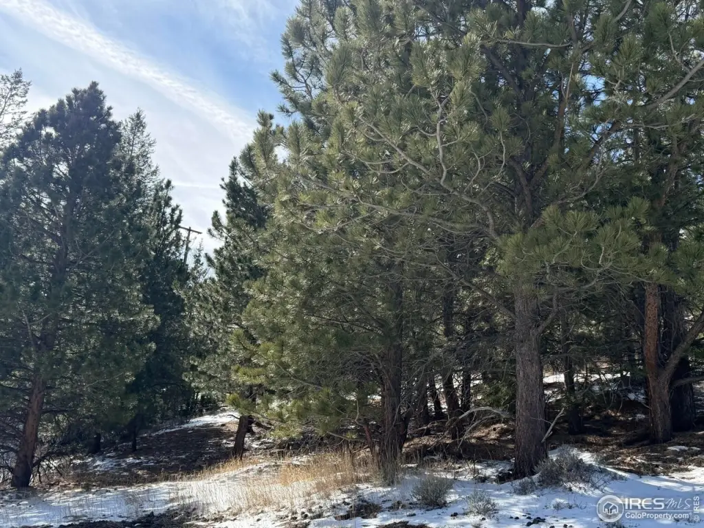 Picture 17