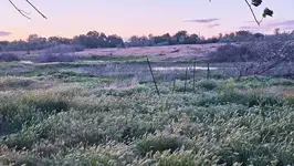 125498 McCreadie Rd, Prosser, WA 99350