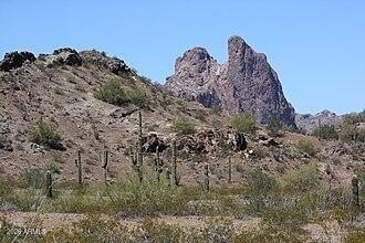 Picture 2