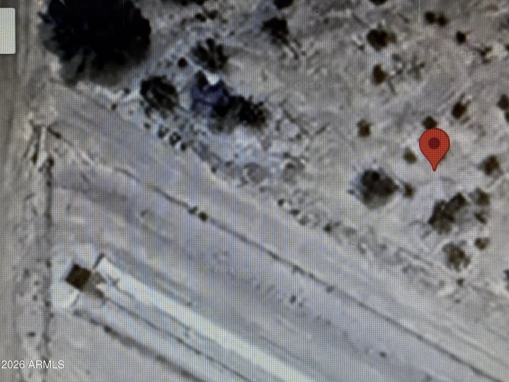 Picture 4