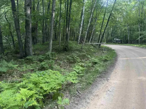 LAND - Farwell, MI