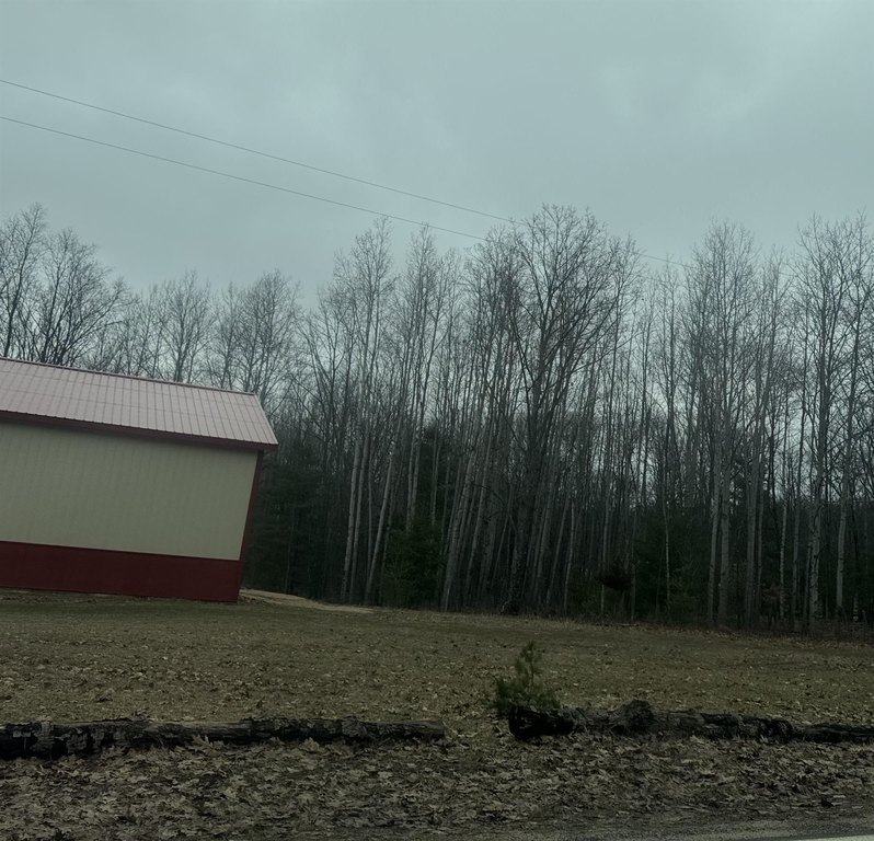 Picture 4