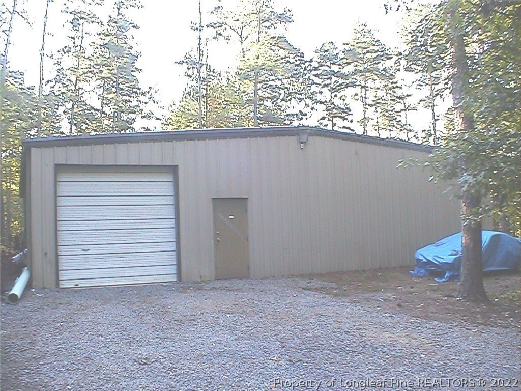 Picture 8