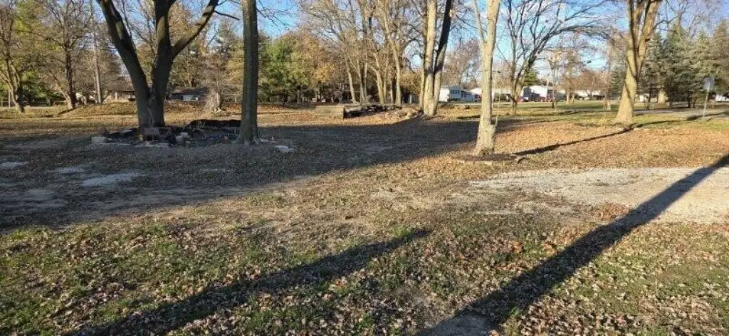 Picture 2