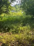 LAND - Printer, KY