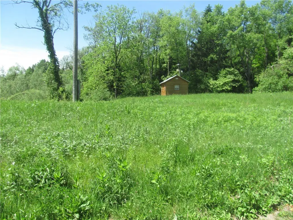 Picture 2