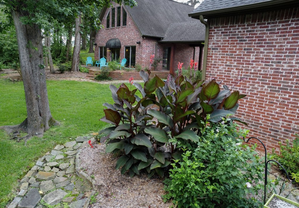 Picture 16