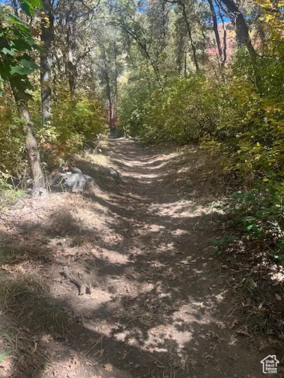 Picture 4