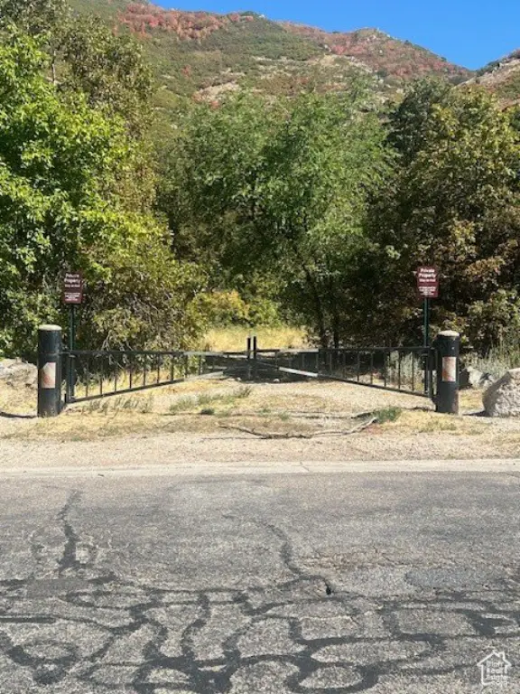 Picture 6