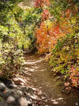 Land, Ogden, UT