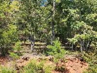 Lot 609 Chimney Rock Road, New Tazewell, TN 37825