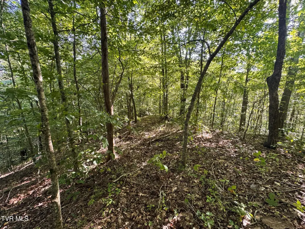 Picture 28
