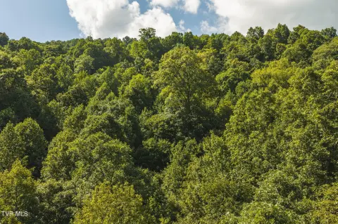 Land, Speedwell, TN