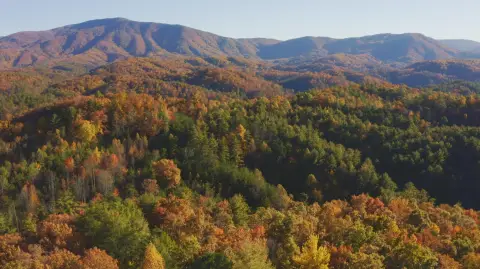 Land, Del Rio, TN