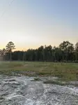 30679 Cane Market Rd, Walker, LA 70785
