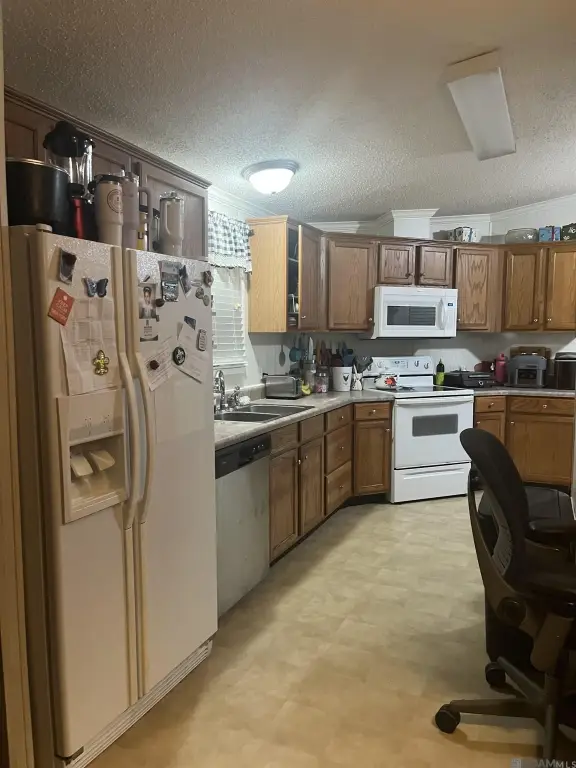 Picture 2