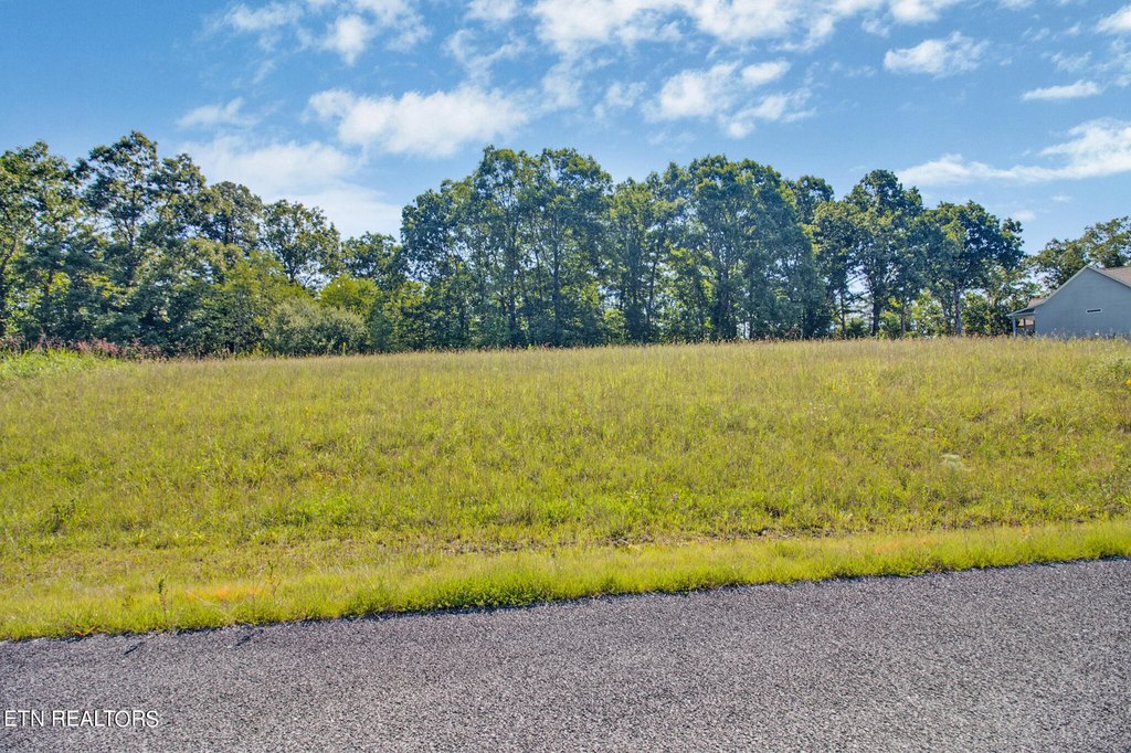 Picture 3