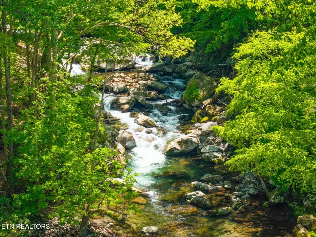 Picture 25