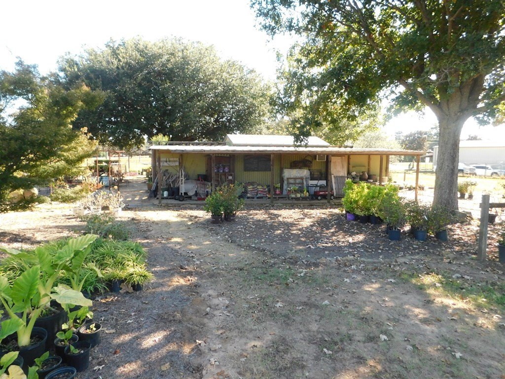Picture 7