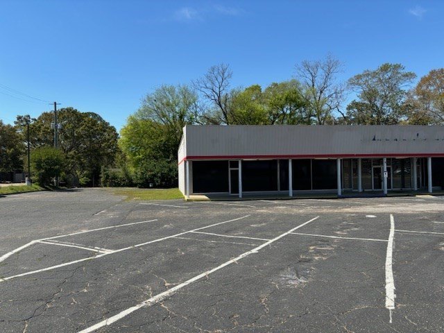 Picture 8