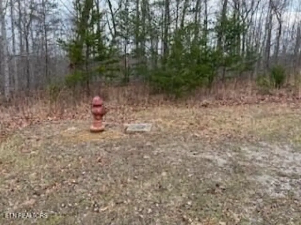 Picture 3