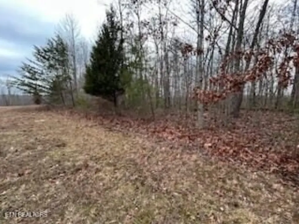 Picture 7