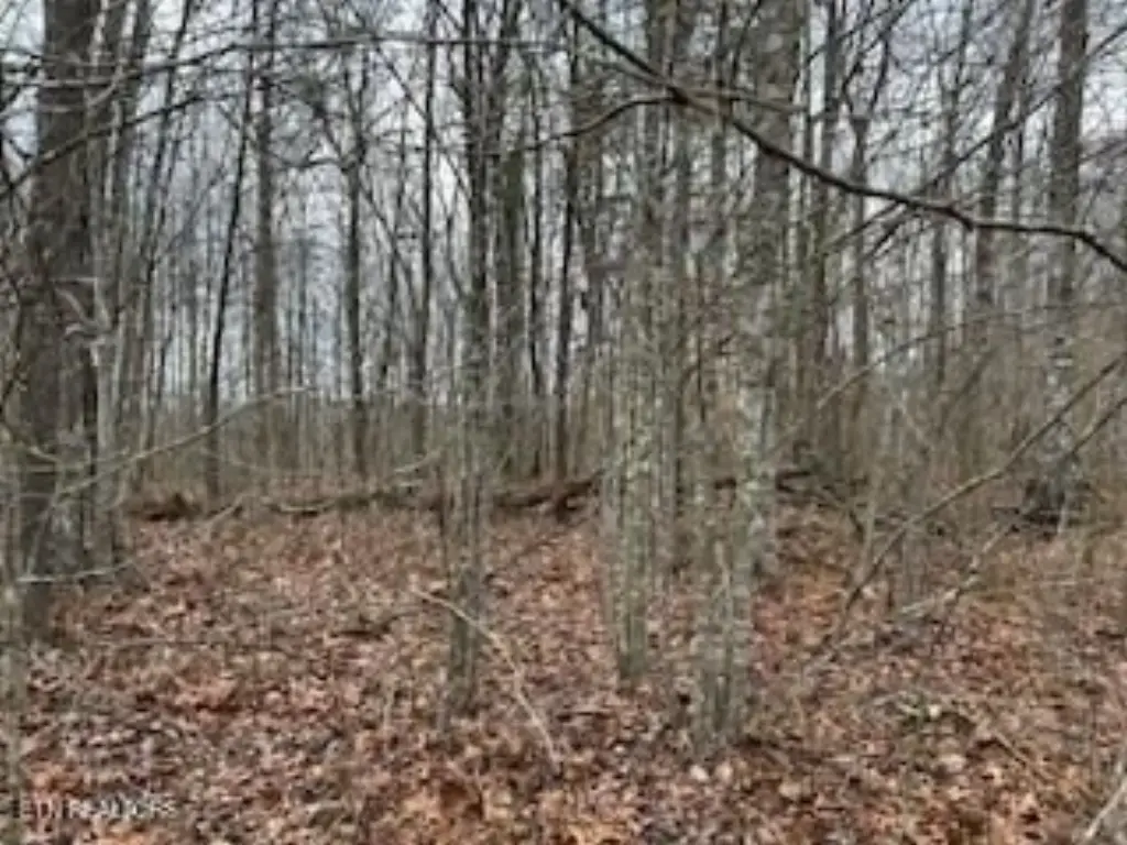 Picture 8