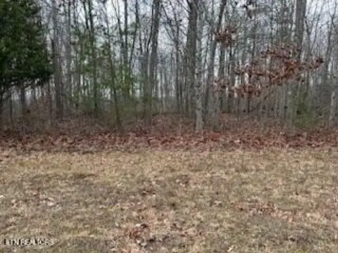 Lots & Acreage, Crawford, TN