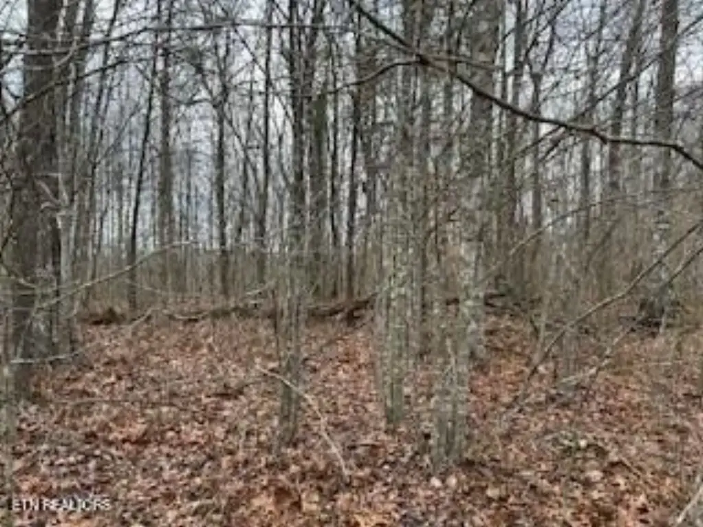 Picture 4
