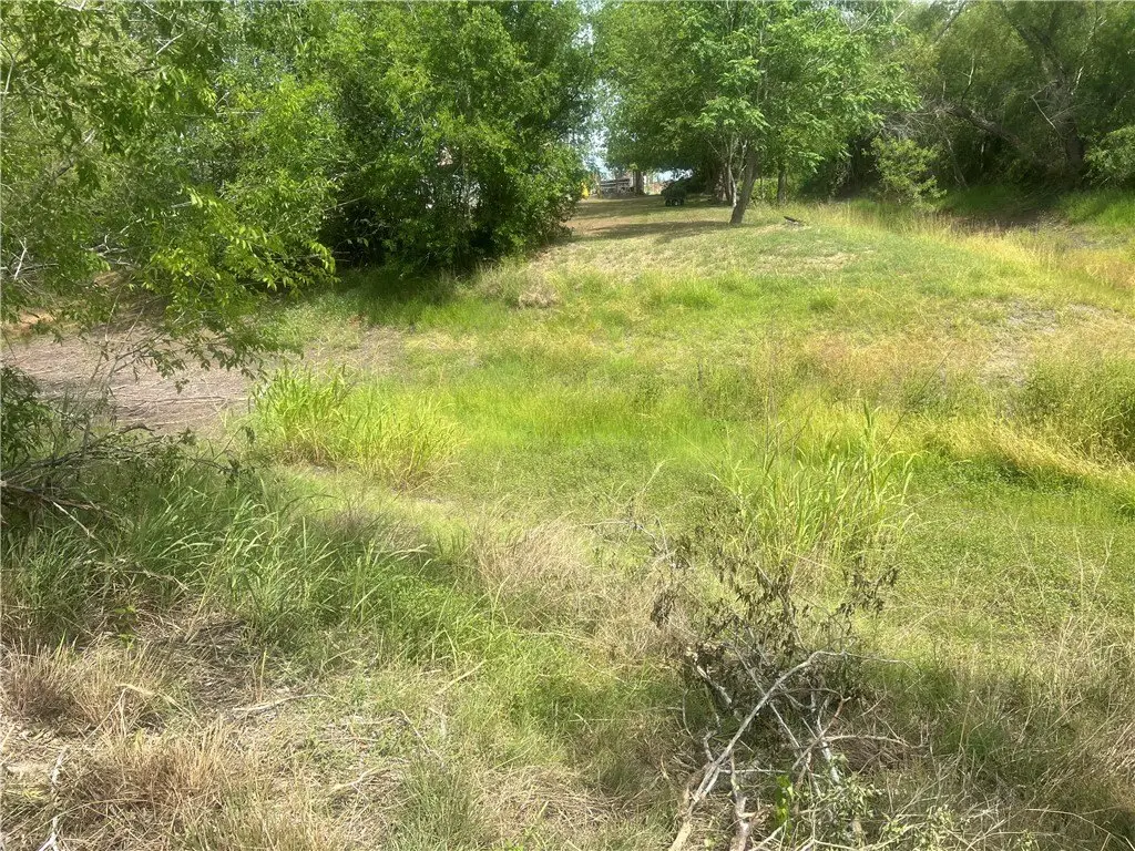 Picture 8