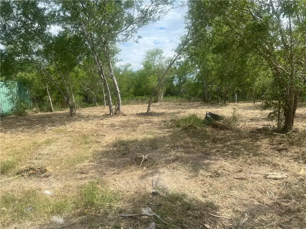 Picture 5