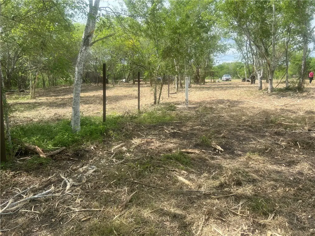 Picture 9