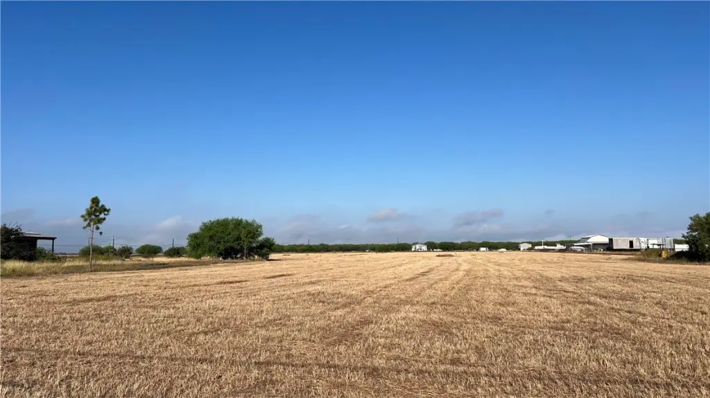Picture 26