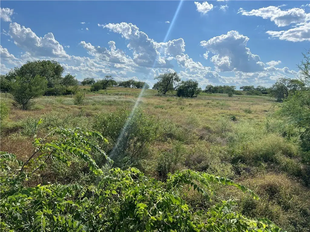 Picture 23