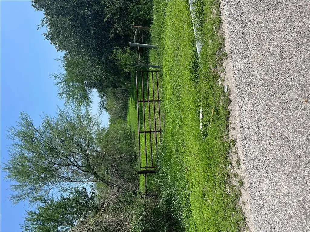 Picture 2
