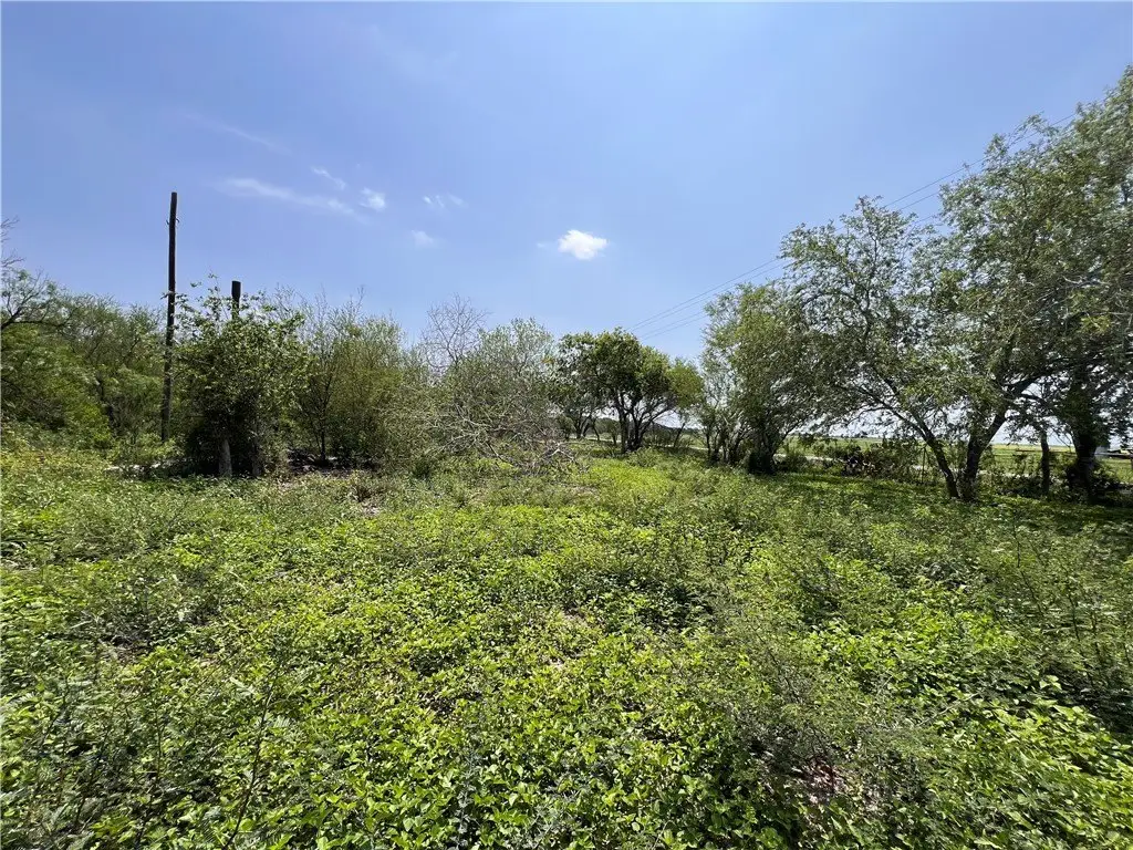 Picture 5