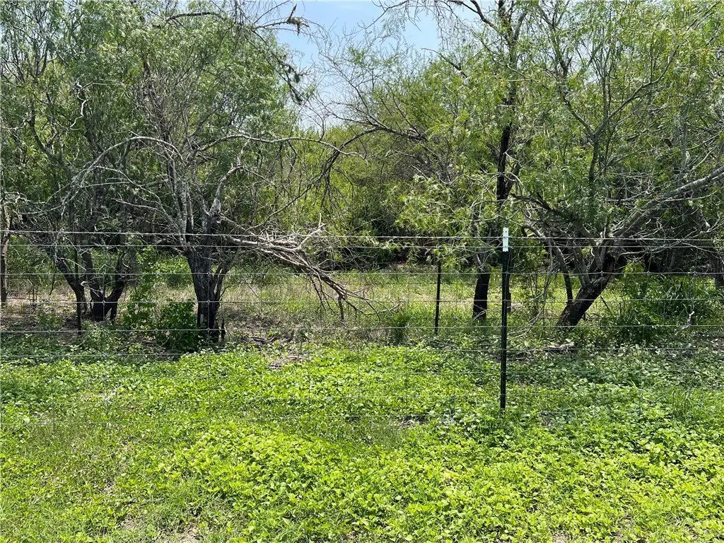 Picture 24