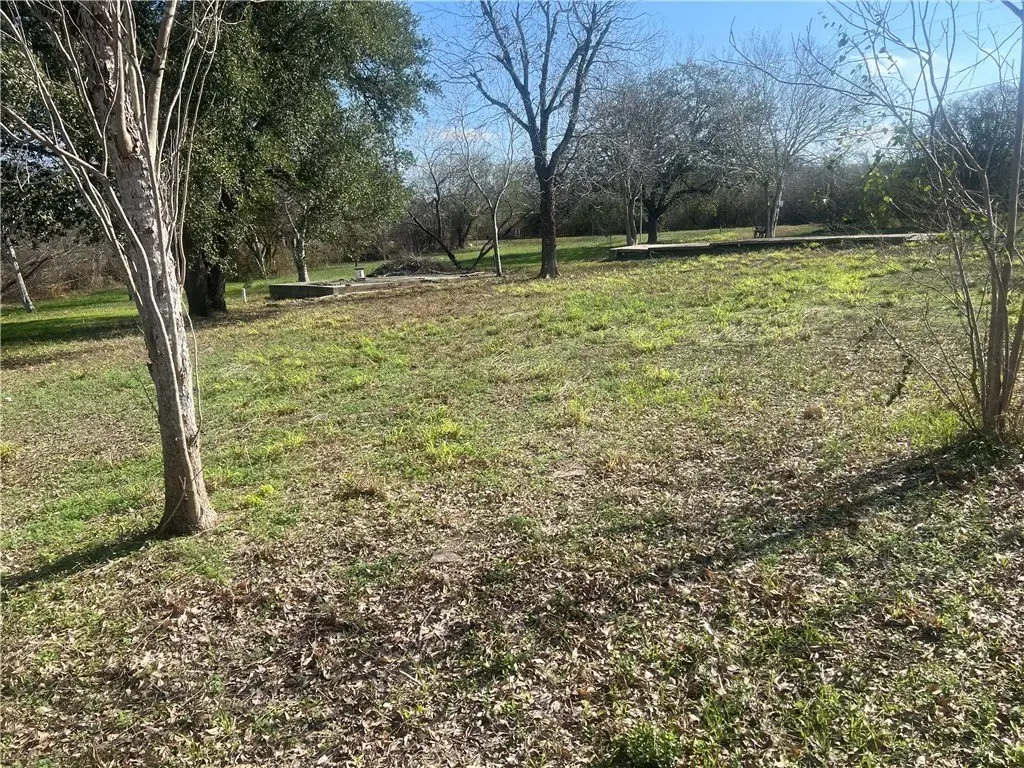 Picture 18
