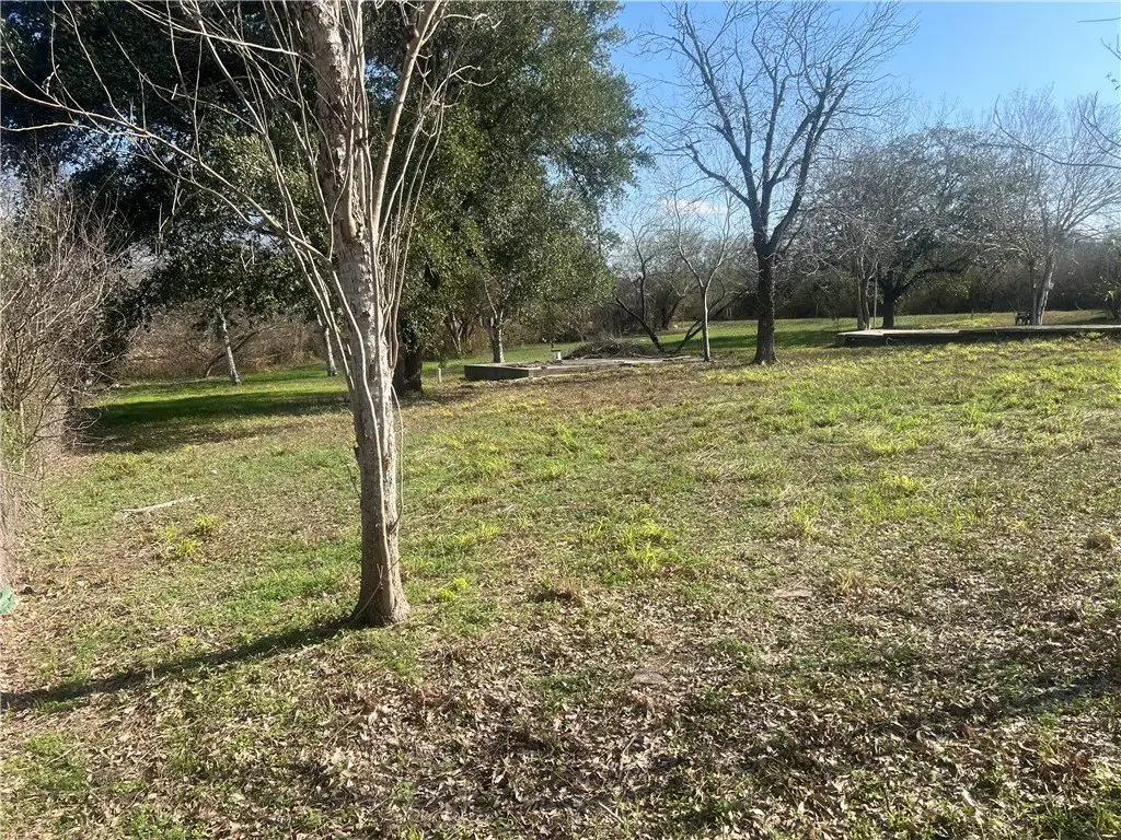 Picture 16