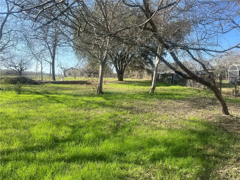 Picture 9